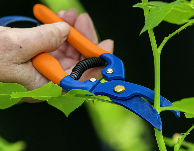 Blue and orange pruning shears cutting plant stems – Pro Home Services handyman garden maintenance in Croydon and nearby areas